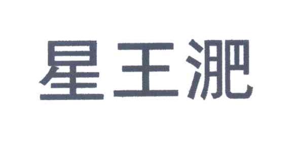 星王淝
