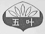 五叶
