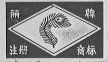 丽