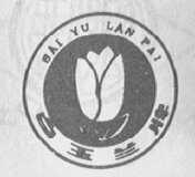 白玉兰