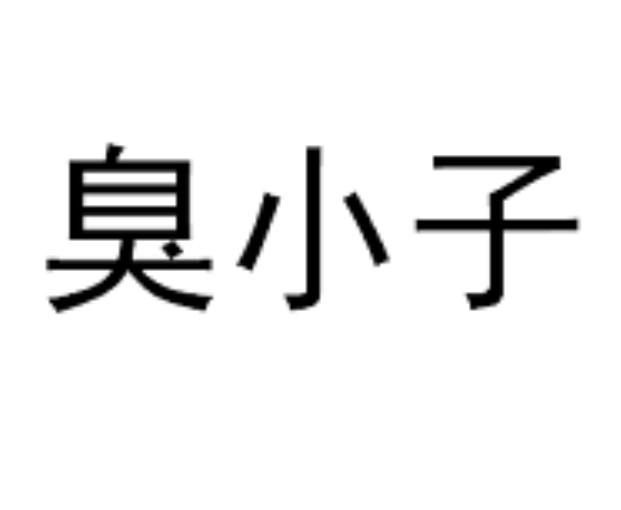 臭小子
