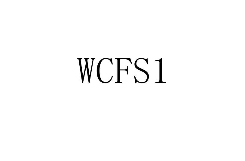 WCFS 1