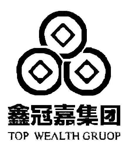 鑫冠嘉集团 TOP WEALTH GROUP