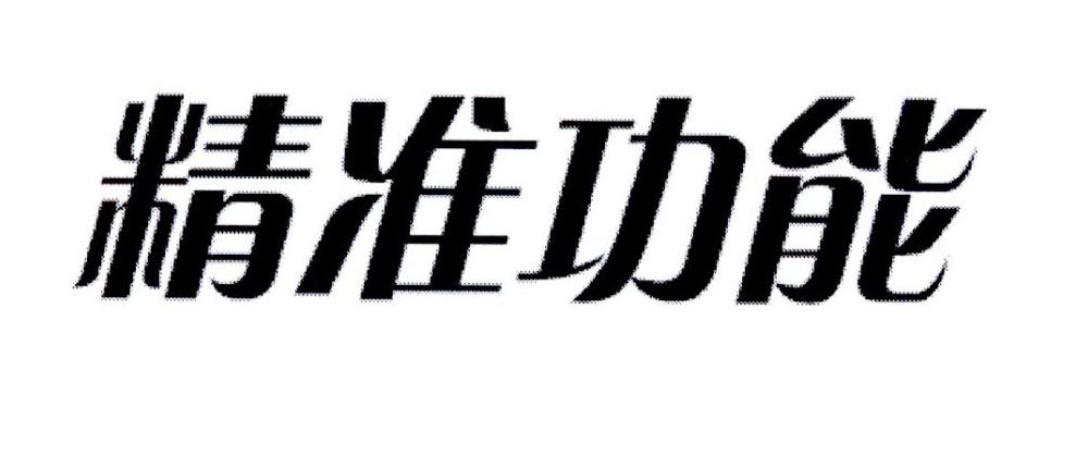 精准功能
