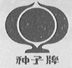 种子