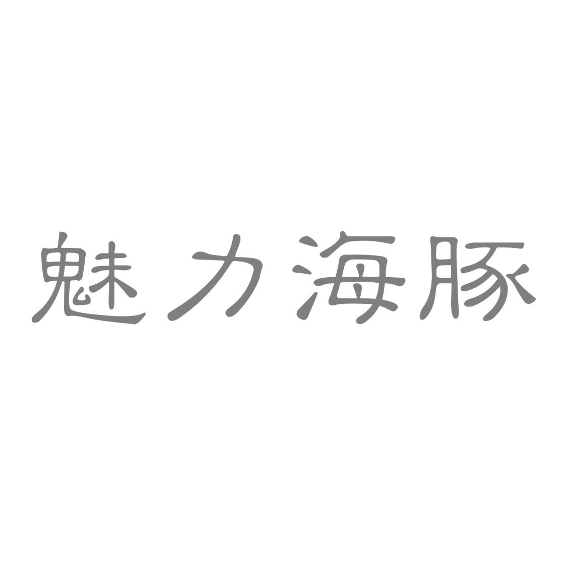 魅力海豚