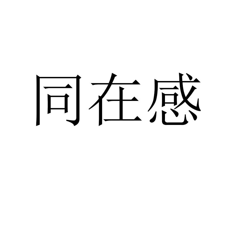 同在感
