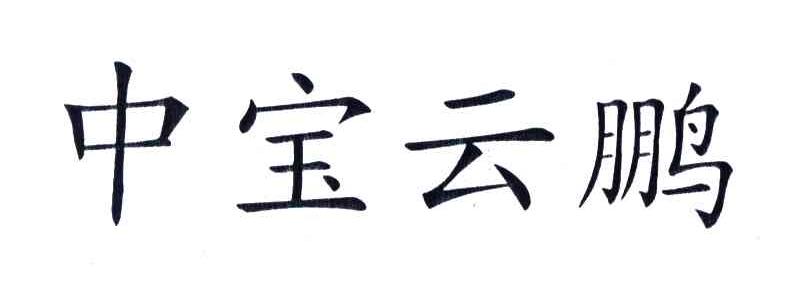 中宝云鹏