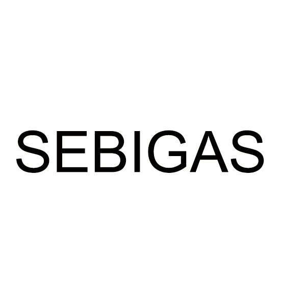 SEBIGAS