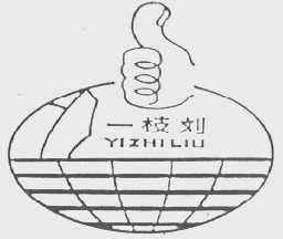 一枝刘