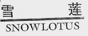 雪莲   SNOWLOTUS