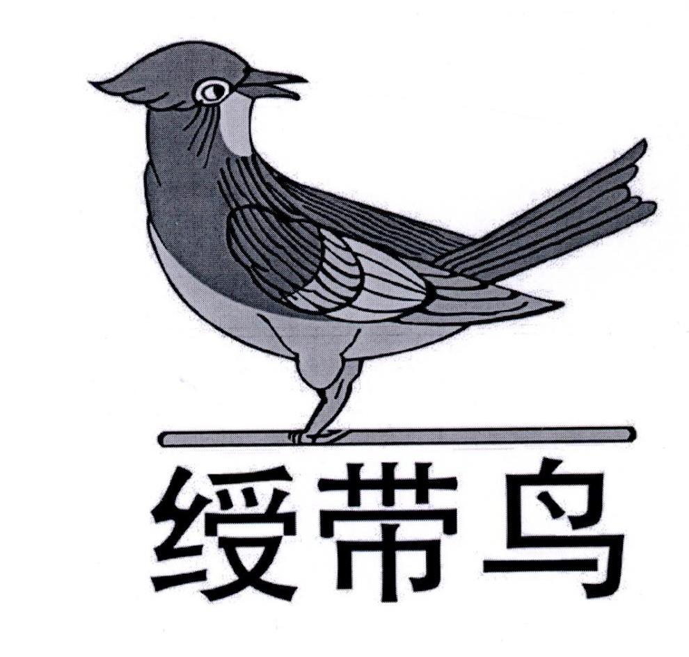 绶带鸟