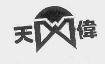 天伟