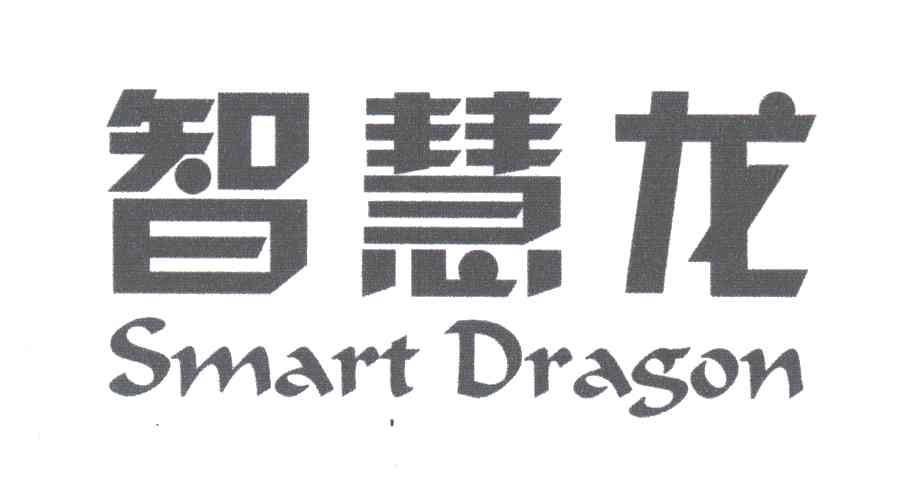 智慧龙;SMART DRAGON