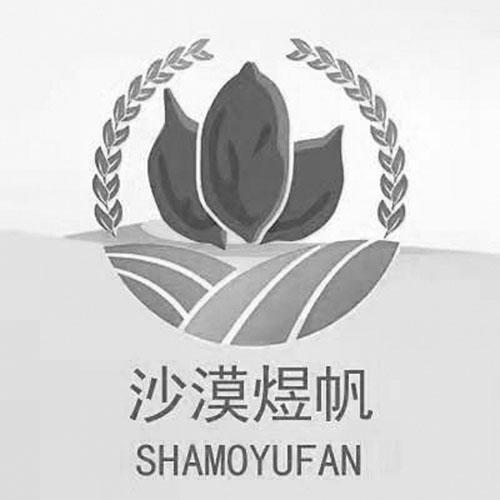 沙漠煜帆