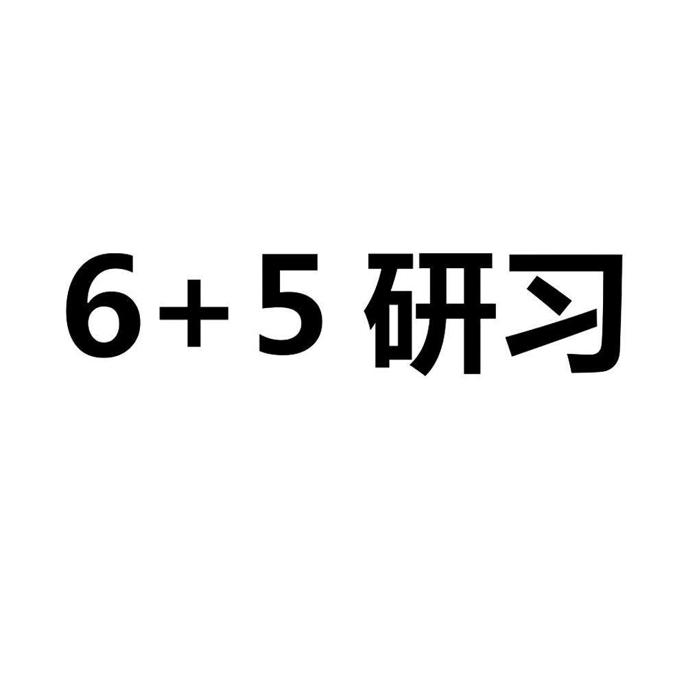 6+5 研习