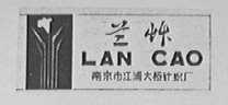 兰草