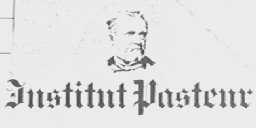 INSTUT PASTEUR