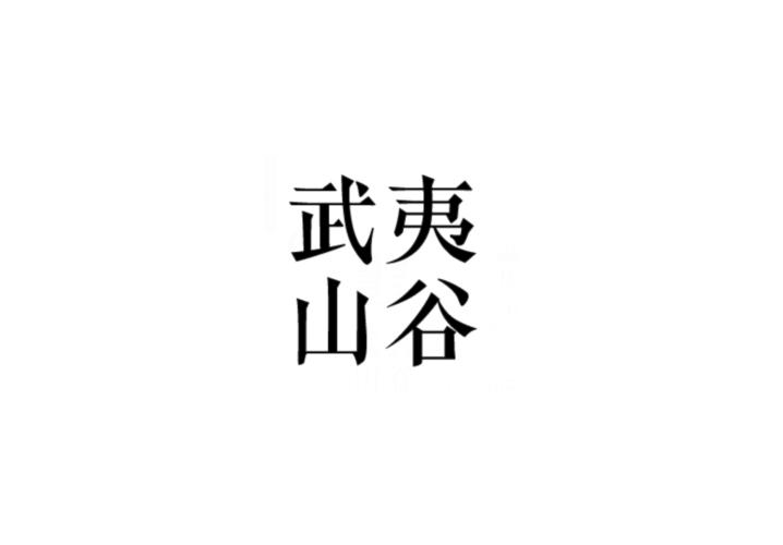 武夷山谷
