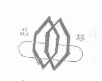 晶环