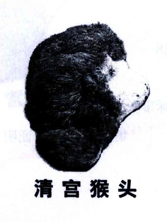 清宫猴头