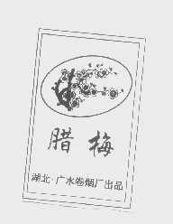 腊梅