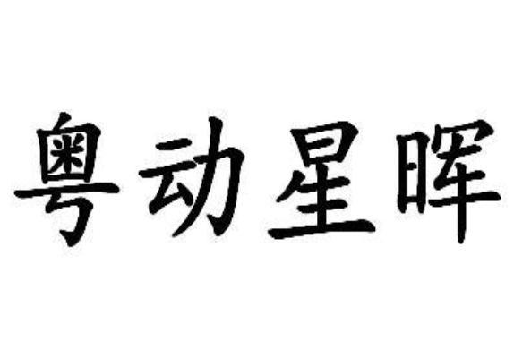 粤动星晖