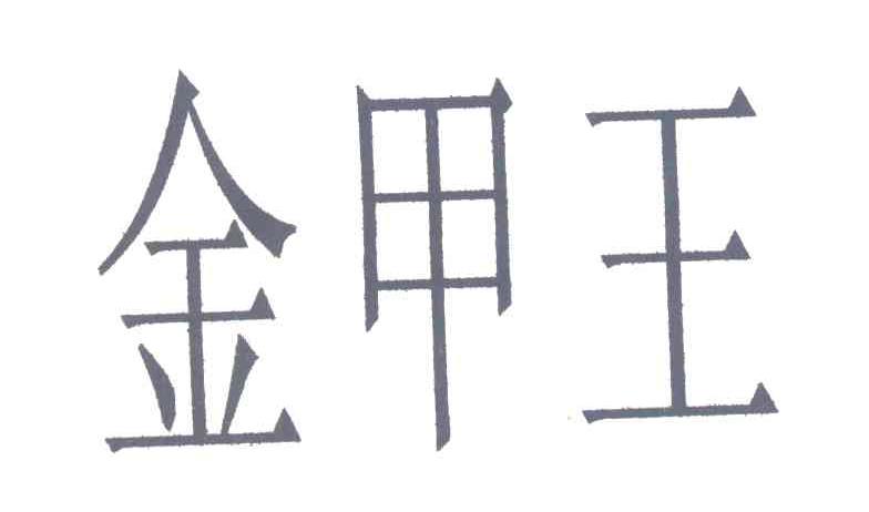金甲王