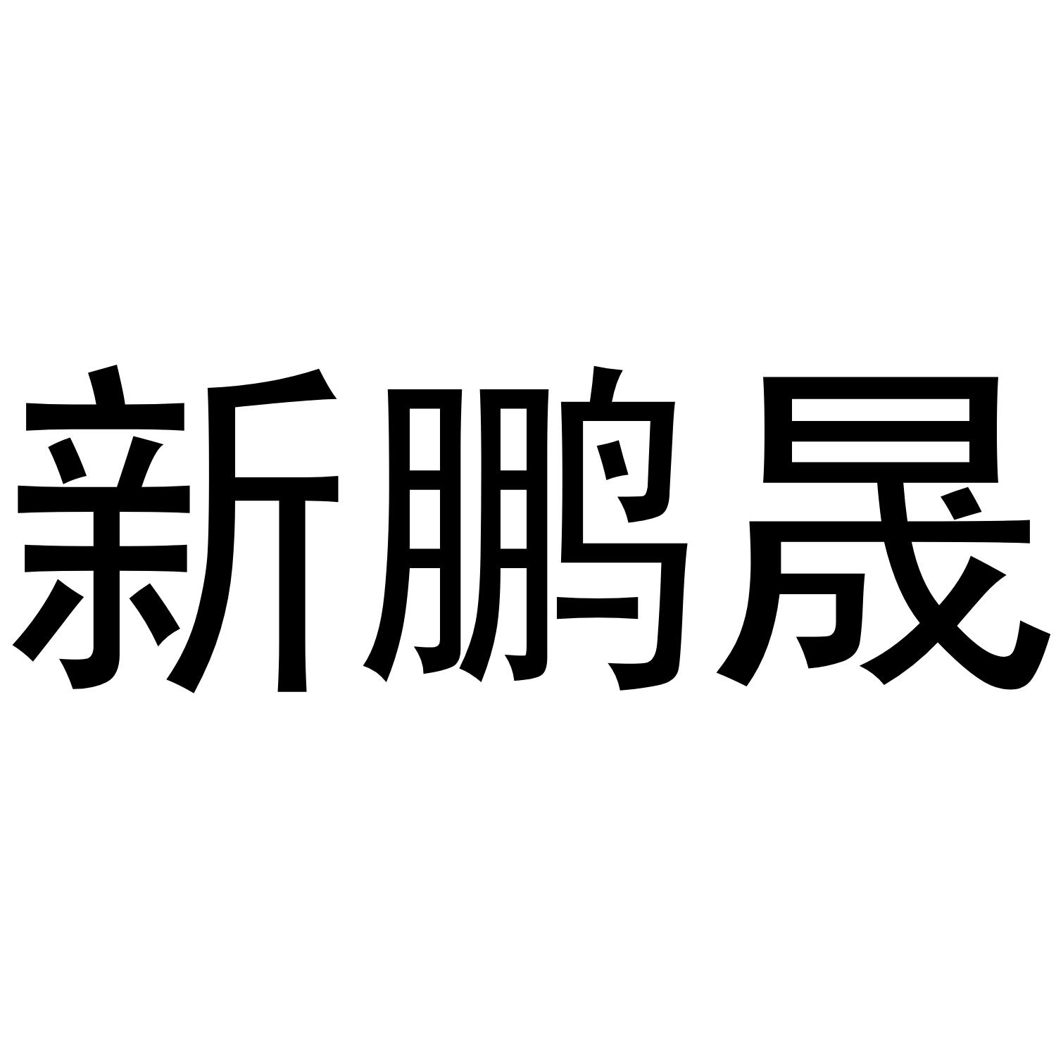 新鹏晟