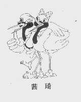 茜琦