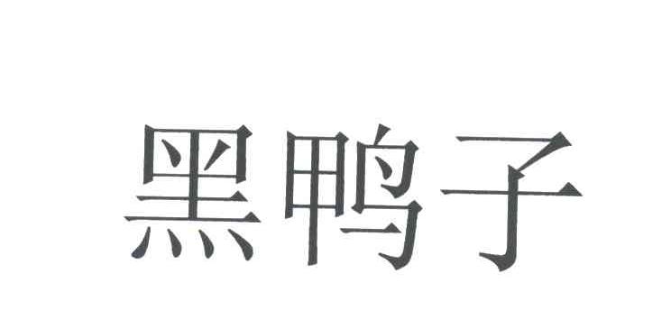 黑鸭子