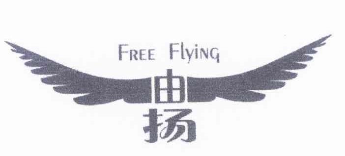 由扬 FREE FLYING