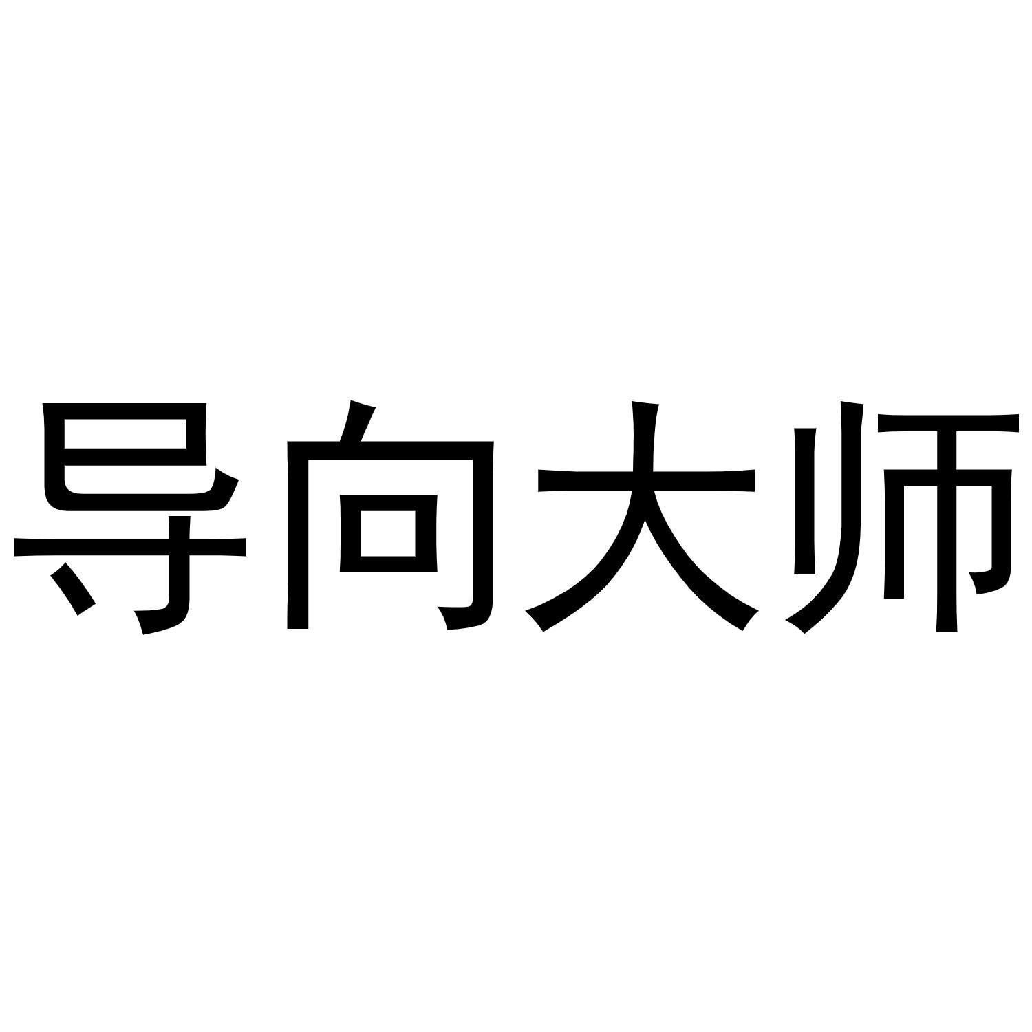 导向大师