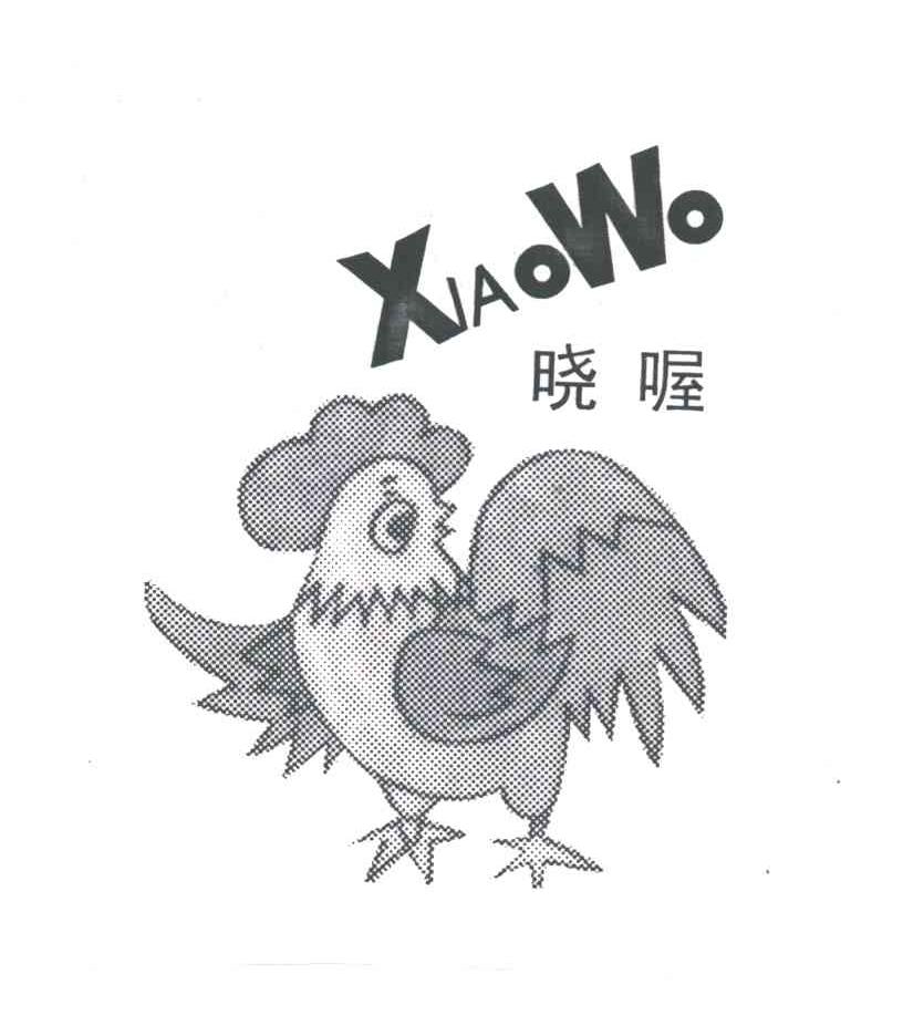 晓喔