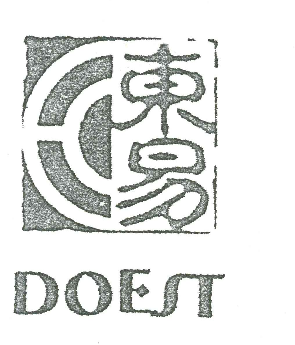 东易;DOEST
