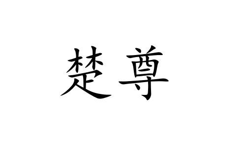 楚尊