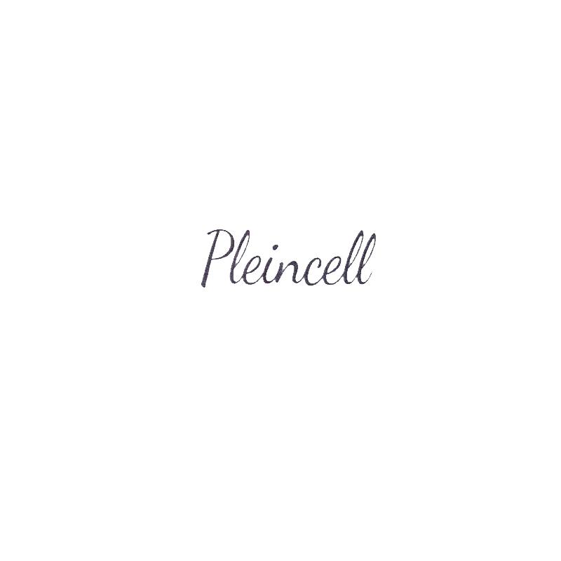 PLEINCELL