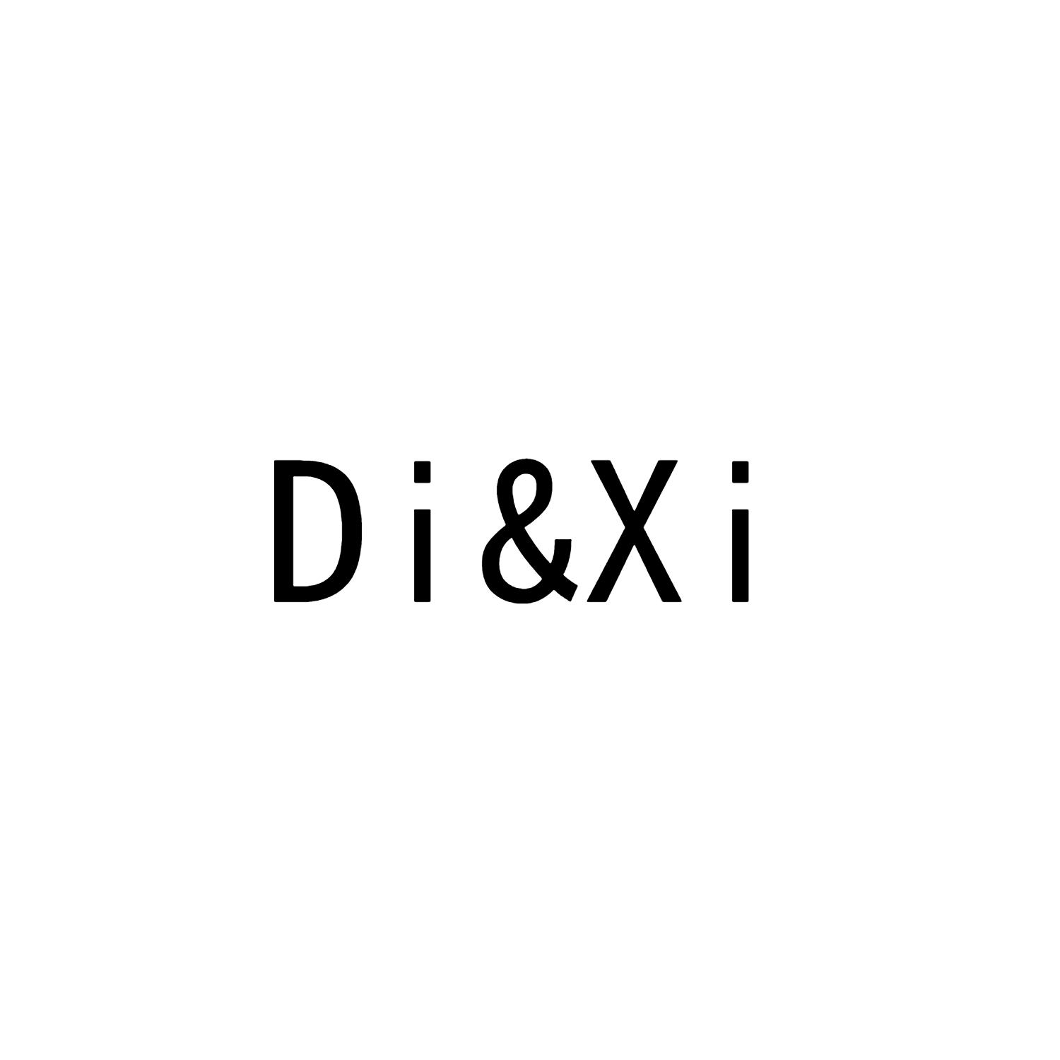 DI&XI