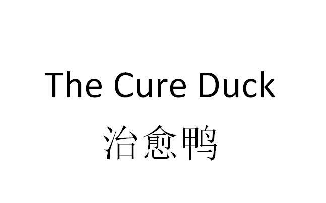 治愈鸭 THE CURE DUCK