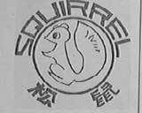 松鼠    SQUIRREL