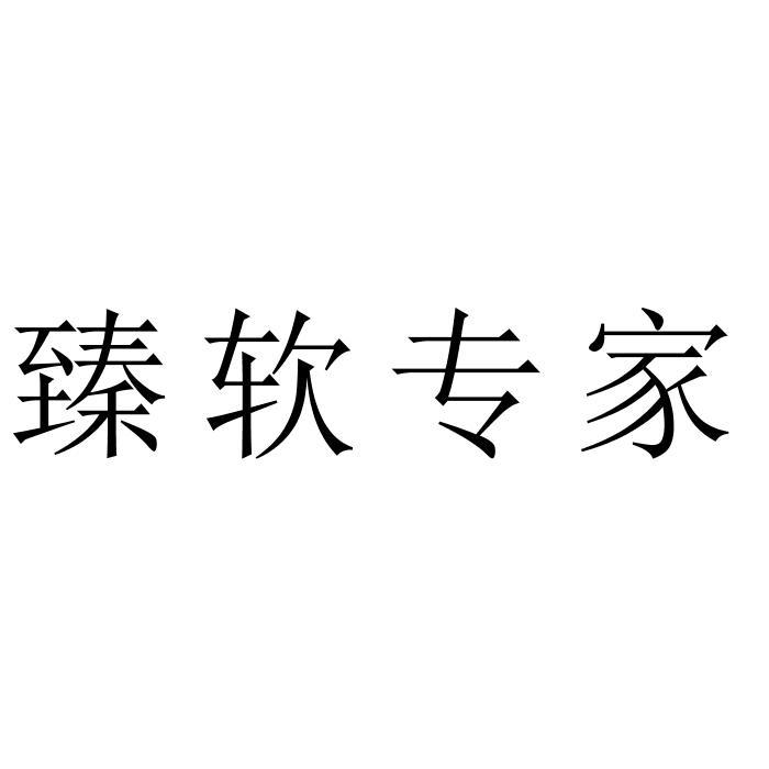 臻软专家