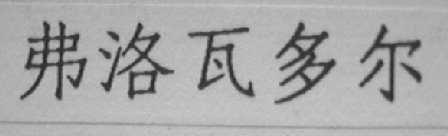 弗洛瓦多尔