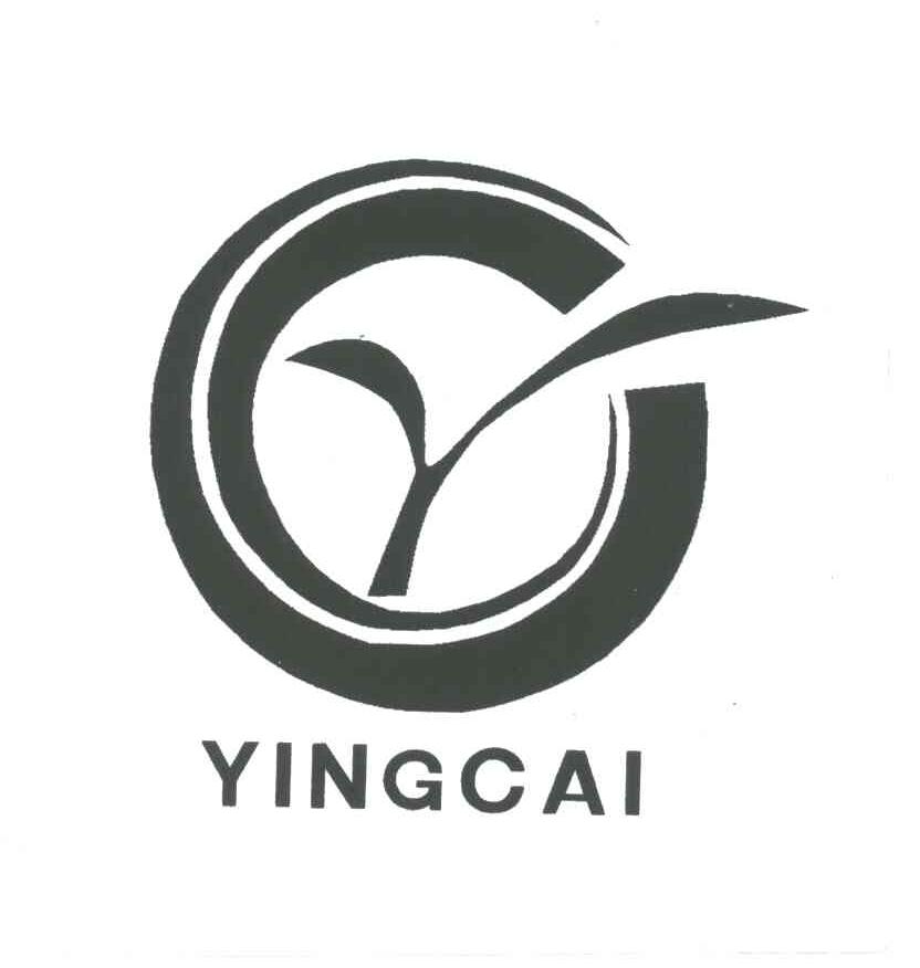YING CAI;YC