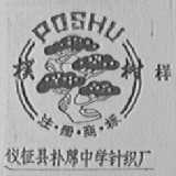 朴树