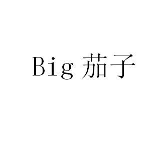 BIG 茄子