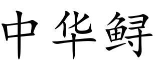 中华鲟
