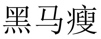 黑马瘦