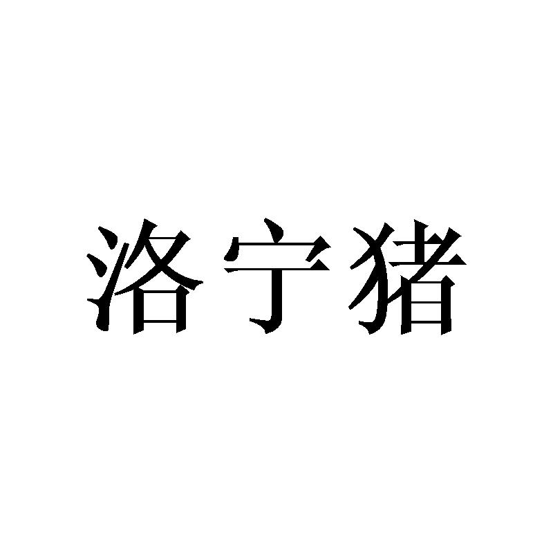 洛宁猪