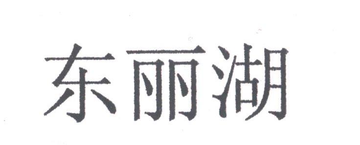 东丽湖