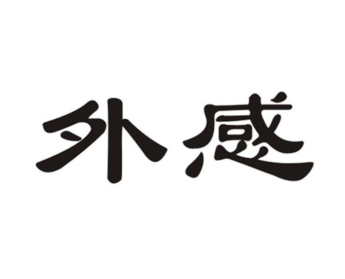 外感